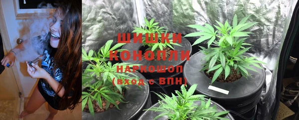 СК Вязьма