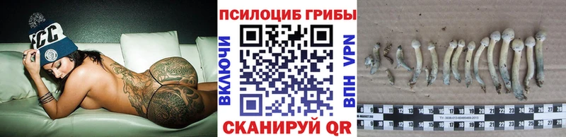Псилоцибиновые грибы GOLDEN TEACHER Вихоревка